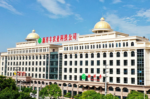 博樂虎網站設計制作公司優(yōu)秀合作案例_網站設計_國內網站制作優(yōu)秀案例_合作公司：新洋豐農業